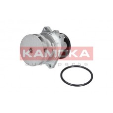 T0059 KAMOKA Водяний насос охолодження двигуна