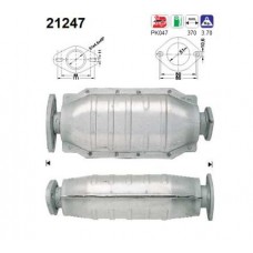 21247 AS Катализатор