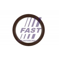 FT49823 FAST Ущільнювальне кільце колінчастий вал