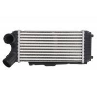 DAG024TT THERMOTEC Интеркулер