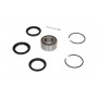 WBK-6501 KAVO PARTS Комплект підшипника ступиці колеса
