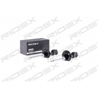 854S1679 RIDEX Амортизатор