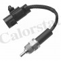 WS3120 CALORSTAT by Vernet Датчик температура охолоджувальної рідини