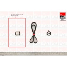 TBK61 FAI AutoParts Комплект ременя ГРМ