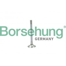 випускний клапан Borsehung B19004