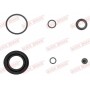 114-0024 QUICK BRAKE Ремкомплект, Гальмівний супорт