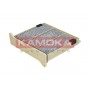 F507901 KAMOKA Фільтр повітря у внутрішньому просторі