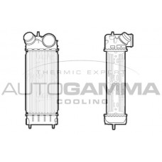 107116 AUTOGAMMA Интеркулер