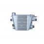 WG1723936 WILMINK GROUP Интеркулер