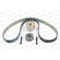 TBK5076.11 OPEN PARTS Комплект ременя ГРМ