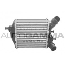 Интеркулер AUTOGAMMA 105295