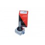 78-0206 MAXGEAR Лампа розжарювання, Основна фара
