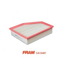CA12487 FRAM Повітряний фільтр