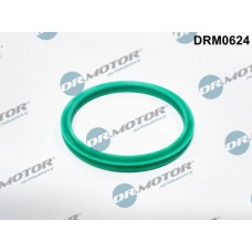 Ущільнювальне кільце, Трубка нагнітається повітря Dr.Motor-Automotive DRM0624