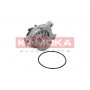 T0042 KAMOKA Водяний насос охолодження двигуна