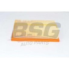 BSG 90-135-020 BSG Повітряний фільтр