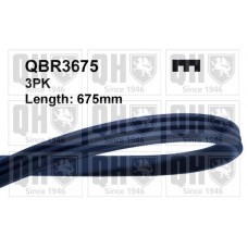 QBR3675 QUINTON HAZELL Поліклиновий ремінь