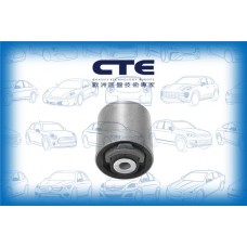 CBH19010 CTE Підвіска важіль незалежної підвіски колеса