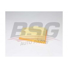 BSG 15-135-016 BSG Повітряний фільтр