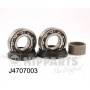 J4707003 NIPPARTS Комплект підшипника ступиці колеса