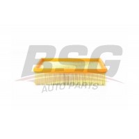 BSG 15-135-002 BSG Повітряний фільтр