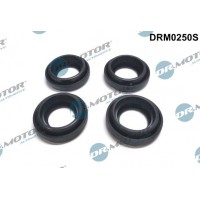 DRM0250S Dr.Motor Automotive Прокладка, корпус форсунки