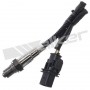 250-25030 WALKER PRODUCTS датчик кисню