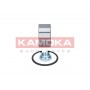 5600086 KAMOKA Комплект підшипника ступиці колеса