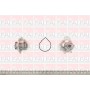 WP6429 FAI AutoParts Водяний насос охолодження двигуна