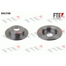 BS5318B FTE Гальмівний диск