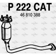 P222CAT FENNO Катализатор