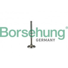 впускний клапан Borsehung B19019