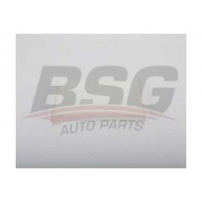 BSG 40-145-023 BSG Фільтр повітря у внутрішньому просторі