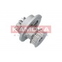 T0070 KAMOKA Водяний насос охолодження двигуна