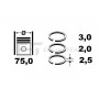 R1004100 ET ENGINETEAM Комплект поршневих кілець