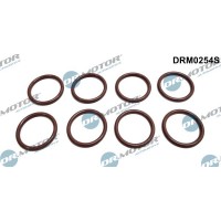 DRM0254S Dr.Motor Automotive Прокладка, корпус форсунки