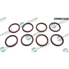 DRM0254S Dr.Motor Automotive Прокладка, корпус форсунки
