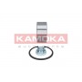 5600041 KAMOKA Комплект підшипника ступиці колеса