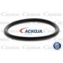 A70-0300 ACKOJA Паливний фільтр