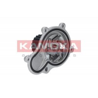 T0076 KAMOKA Водяний насос охолодження двигуна