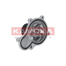T0076 KAMOKA Водяний насос охолодження двигуна