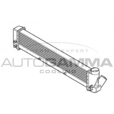Интеркулер AUTOGAMMA 105686