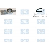 TK1169 Saleri SIL Комплект ременя ГРМ