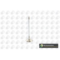 впускний клапан BGA V917010