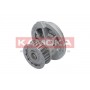 T0229 KAMOKA Водяний насос охолодження двигуна