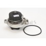 WP6066 CONTINENTAL CTAM Водяний насос охолодження двигуна
