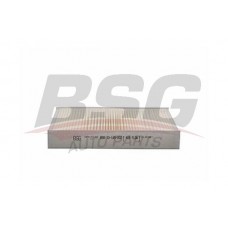 BSG 30-145-002 BSG Фільтр повітря у внутрішньому просторі
