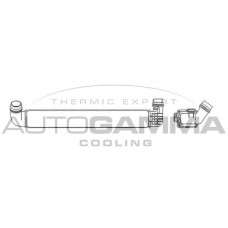 Интеркулер AUTOGAMMA 105716