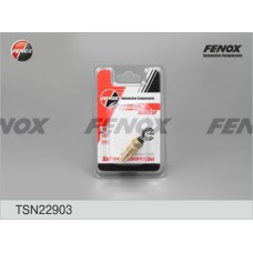 TSN22903 FENOX Датчик температура охолоджувальної рідини