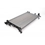 D7G023TT THERMOTEC Радіатор охолодження двигуна